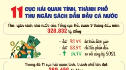 11 cục hải quan tỉnh, thành phố thu ngân sách dẫn đầu cả nước