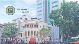 DATC nằm trong Top 1.000 doanh nghiệp nộp thuế lớn nhất Việt Nam