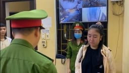 Đà Nẵng: Bắt nữ giám đốc lợi dụng 'chuyến bay giải cứu' để lừa đảo