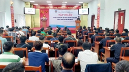 Hải quan tập huấn khai báo, tiếp nhận, kiểm tra, xác nhận bản kê thông tin hàng hóa nhập khẩu điện tử