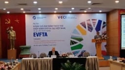 Gần 25% hàng xuất khẩu tận dụng được ưu đãi thuế quan EVFTA