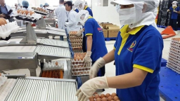 Phân tích các nhân tố ảnh hưởng đến lòng trung thành của người lao động