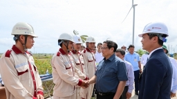 Thủ tướng yêu cầu xem xét lại giá điện gió, điện mặt trời