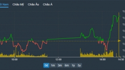 Hàng loạt cổ phiếu tăng, VN-Index thêm hơn 15 điểm