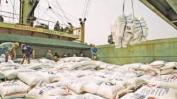 Philippines kéo dài thời gian giảm thuế nhập khẩu gạo đến hết năm 2023