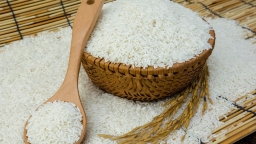Có thể thu hồi giấy phép xuất khẩu gạo đối với thương nhân không thực hiện chế độ báo cáo