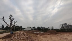 Bắc Giang: Kiên quyết không cho phép hợp thức hóa vi phạm đất đai mới phát sinh