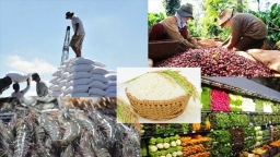 Việt Nam xuất khẩu nông sản đạt kỷ lục hơn 53 tỷ USD