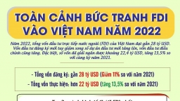 Toàn cảnh bức tranh FDI vào Việt Nam năm 2022