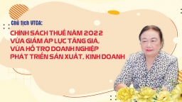 Chính sách thuế năm 2022 vừa giảm áp lực tăng giá, vừa hỗ trợ doanh nghiệp phát triển sản xuất, kinh doanh