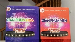 Loạn giá pháo hoa của Nhà máy Z121, Bộ Công Thương nói gì?