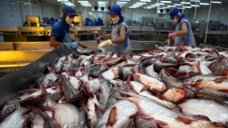 Thủy sản Việt Nam lọt top 3 thế giới về xuất khẩu