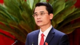 Miễn nhiệm Phó chủ tịch UBND tỉnh Quảng Ninh và Gia Lai