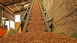 Năm 2022, xuất khẩu dăm gỗ và viên nén gỗ thu về gần 3,5 tỷ USD