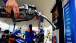 Giá xăng dầu trong nước dự báo giảm trong ngày 11/2
