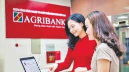 Agribank thoái xong vốn tại CMG, lãi gần 89 tỷ đồng