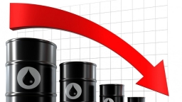 Giá dầu lao dốc trước phiên điều trần của Chủ tịch Fed
