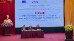 Phát triển bền vững chuỗi giá trị tre luồng theo hướng
