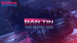 Bản tin Thuế và cuộc sống số 21