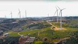 Lâm Đồng phạt và truy thu chủ đầu tư Nhà máy điện gió Cầu Đất 1,4 tỷ đồng