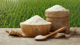 Indonesia muốn nhập 2 triệu tấn gạo, Bộ Công Thương nói gì?