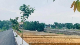 Hà Nội: Bất ngờ tạm dừng đấu giá 44 lô đất tại huyện Đông Anh