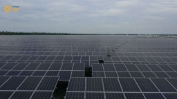 Dự án Solar Park 5 Long An: Chưa được chấp thuận chủ trương, phát hành trái phiếu cao gấp 6,7 lần vốn