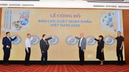 Báo cáo xuất nhập khẩu Việt Nam năm 2022