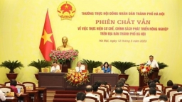 Hà Nội xử vi phạm đất nông nghiệp: 'Không phải chờ báo chí phản ánh mới làm'