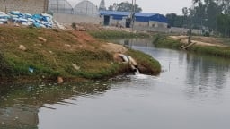 Vi phạm về môi trường, Công ty TNHH Giầy Athena Việt Nam - Chi nhánh Nga Sơn bị phạt 300 triệu đồng