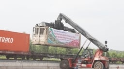 Bắc Giang xuất khẩu 56 tấn vải thiều bằng đường sắt