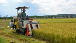 Kiểm định chi bình phương và trung bình mẫu độc lập trong phân tích hiệu quả kinh tế sản xuất lúa theo CN mới