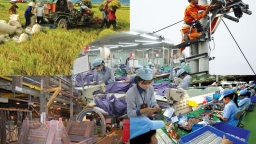 Thanh Hóa: Gần 1.300 doanh nghiệp thành lập mới trong 6 tháng