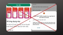 Vấn nạn lừa đảo cài đặt ứng dụng giả mạo app của Chính phủ và Tổng cục Thuế