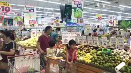 Thúc đẩy tăng trưởng: Kích cầu tiêu dùng nội địa, tăng đầu tư tư nhân