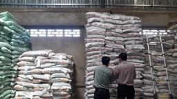 Công ty Phi Hùng bị xử phạt 240 triệu đồng vì sản xuất phân bón giả