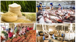Xuất khẩu nông, lâm, thủy sản trong 7 tháng đạt hơn 29 tỷ USD