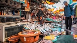 Trung Quốc cấm nhập khẩu hải sản Nhật Bản