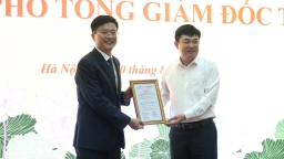 Ông Trần Hải Bình được bổ nhiệm làm Phó tổng giám đốc TKV
