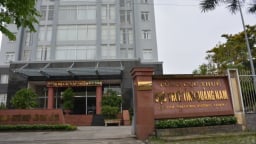 Quảng Nam: Hoãn xuất cảnh Giám đốc CTCP Xây dựng Minh Hoàng Long vì nợ thuế gần 50 tỷ đồng