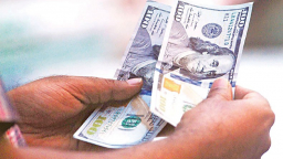 Reuters: Đồng USD sẽ tiếp tục tăng vào cuối năm nay