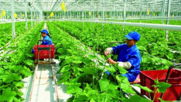 Thách thức từ chỉ tiêu tổng thể đến từng ngành, lĩnh vực