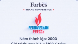 PVFCCo - Top 25 thương hiệu công ty hàng tiêu dùng cá nhân và công nghiệp  dẫn đầu Việt Nam năm 2023