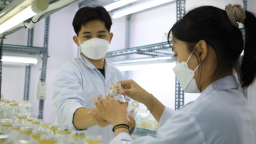 Phát triển nguồn nhân lực chất lượng cao tại Tp.HCM