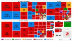 Bị 'đánh úp' cuối phiên, VN-Index bốc hơi hơn 25 điểm