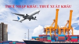 Biểu thuế xuất nhập khẩu mới giúp ổn định kinh tế vĩ mô