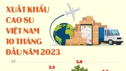 Xuất khẩu cao su Việt Nam 10 tháng đầu năm 2023