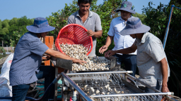 VCCI tuyển chuyên gia xây dựng đề cương bộ tài liệu truyền thông Dự án SCBV