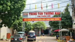Bắc Giang: Thu hồi đất của Tập đoàn HDB Việt Nam do chậm triển khai dự án