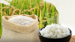 Philippines gia hạn cắt giảm thuế nhập khẩu gạo